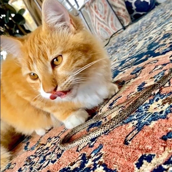 Meet your Posher, Matthew - Picture 12 of 15